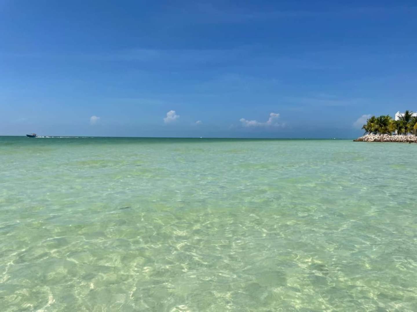 Pool View Loft Steps From The Ocean In Punta Cocos - C101 Otel Isla Holbox Dış mekan fotoğraf