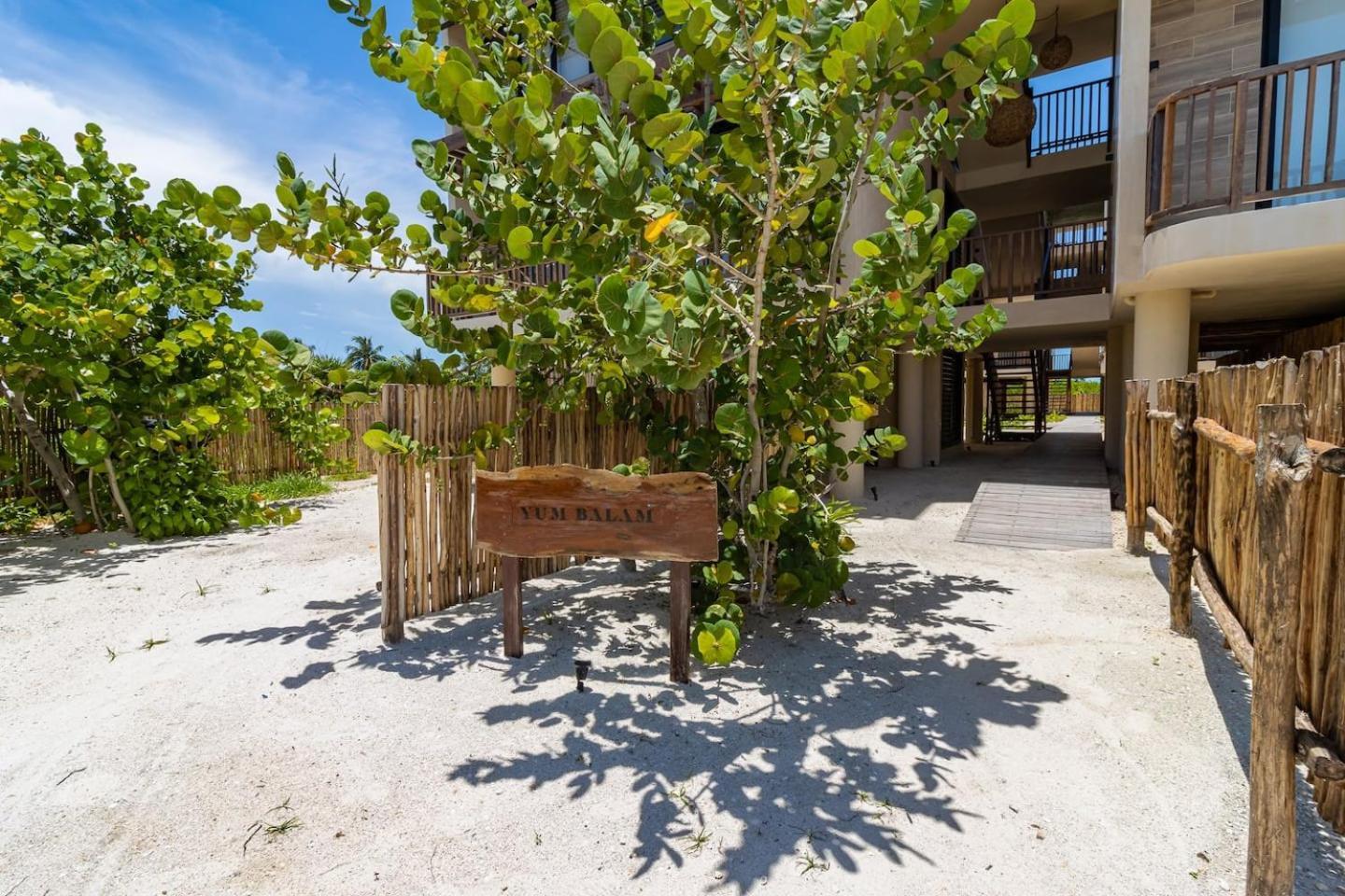 Pool View Loft Steps From The Ocean In Punta Cocos - C101 Otel Isla Holbox Dış mekan fotoğraf